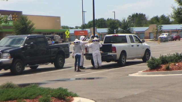 Bees attack Wal-Mart shoppers in Okla. after seller of hives brings them to parking lot