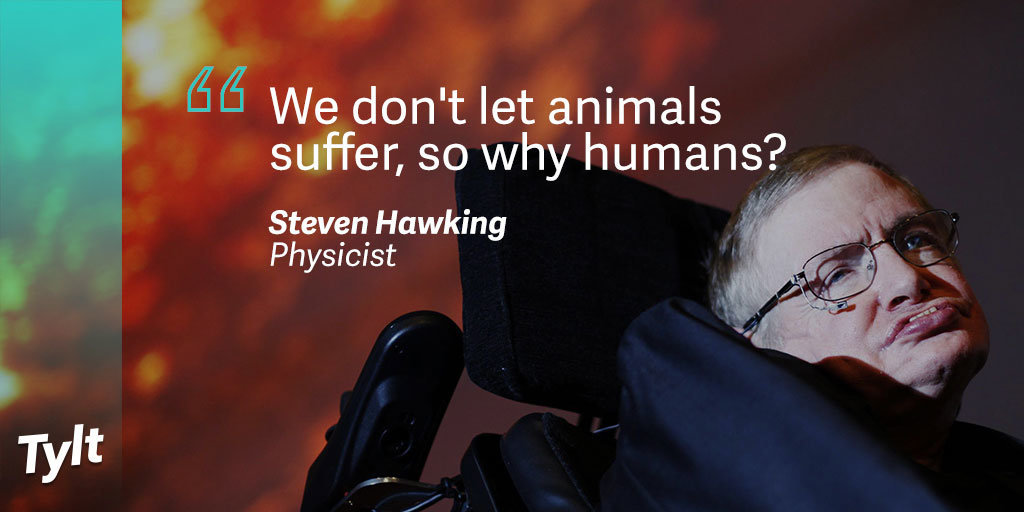 Should terminally ill patients be able to choose when they die?