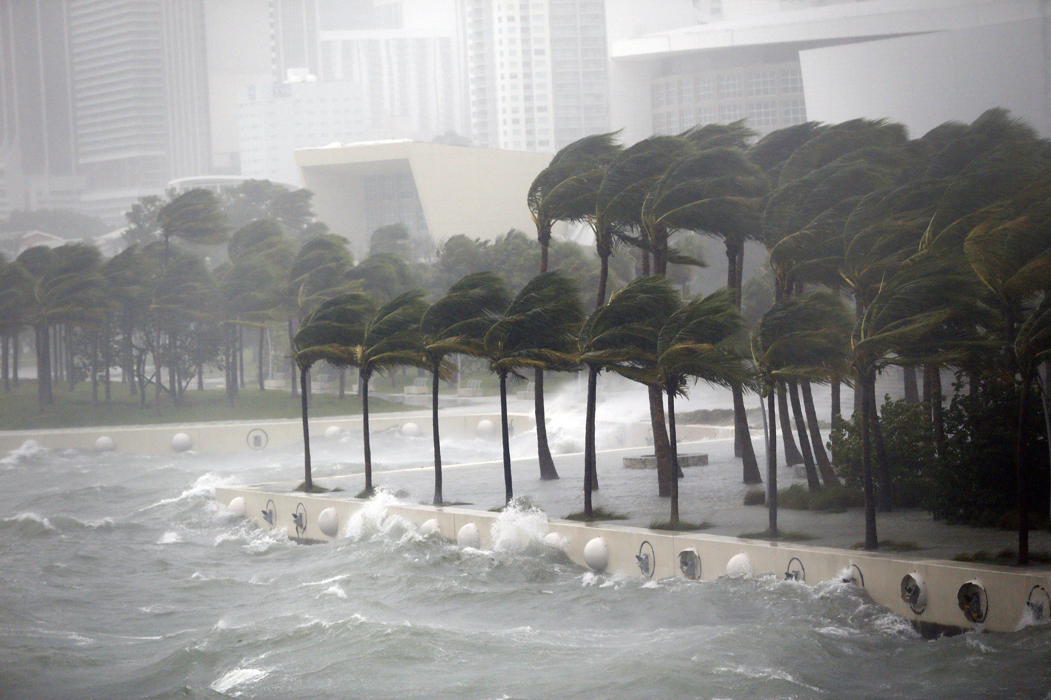 Hurricane Irma: Miami woman delivers own baby after winds prevent help from arriving