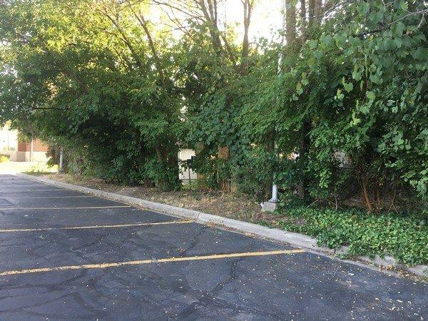 Michigan children made up story about white man urinating on black child, police say