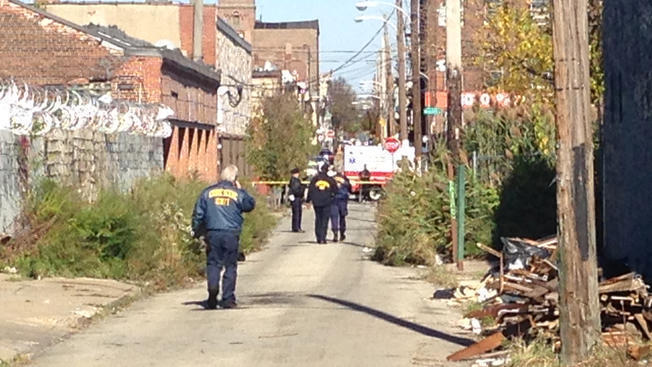 Dead infants were medical specimens before being left near used car lot