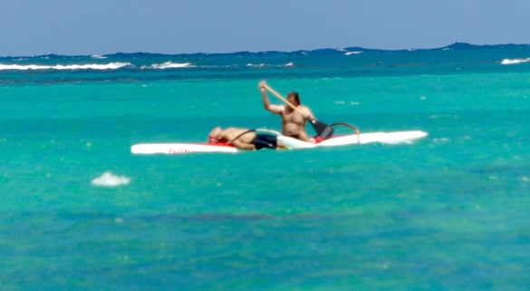 Hawaii shark attack leaves swimmer, 44, with serious injury to lower legs