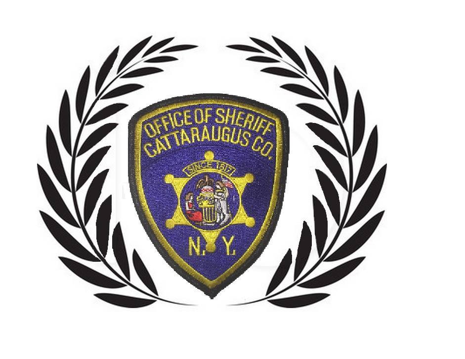 Upstate NY driver killed when her car strikes horse being led across