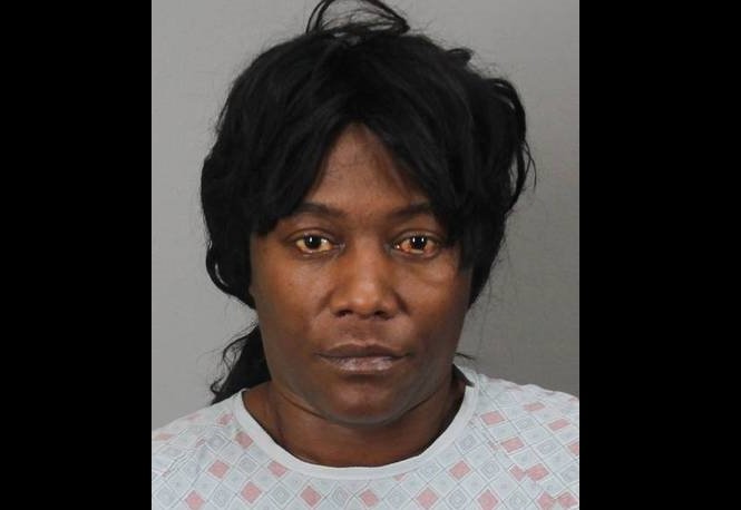 Upstate NY woman admits killing boyfriend with blows from statue of German shepherd