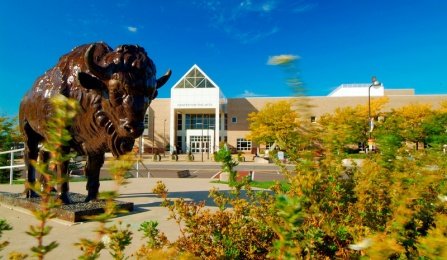 University of Buffalo apologizes after 5,000 mistakenly told they were accepted