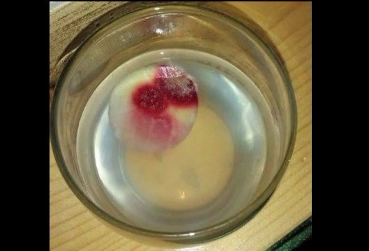 Communion wafer that 'bled' in Utah wasn't a miracle, Catholic diocese says