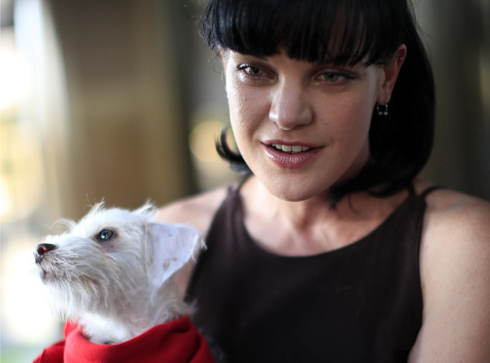 Pauley Perrette'S X: News And Reactions - 0chqh9r