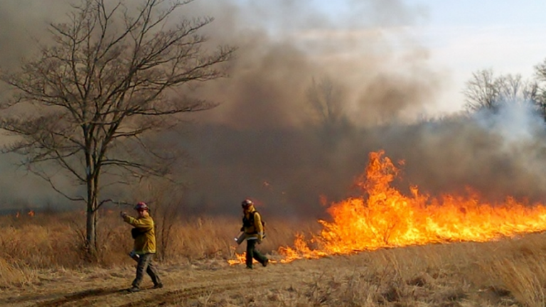 Controlled burn taking place at 2 Central Jersey forests