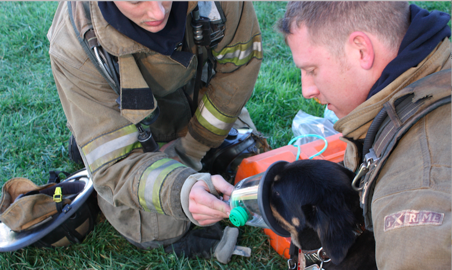 Did you know your pets need their own oxygen masks?