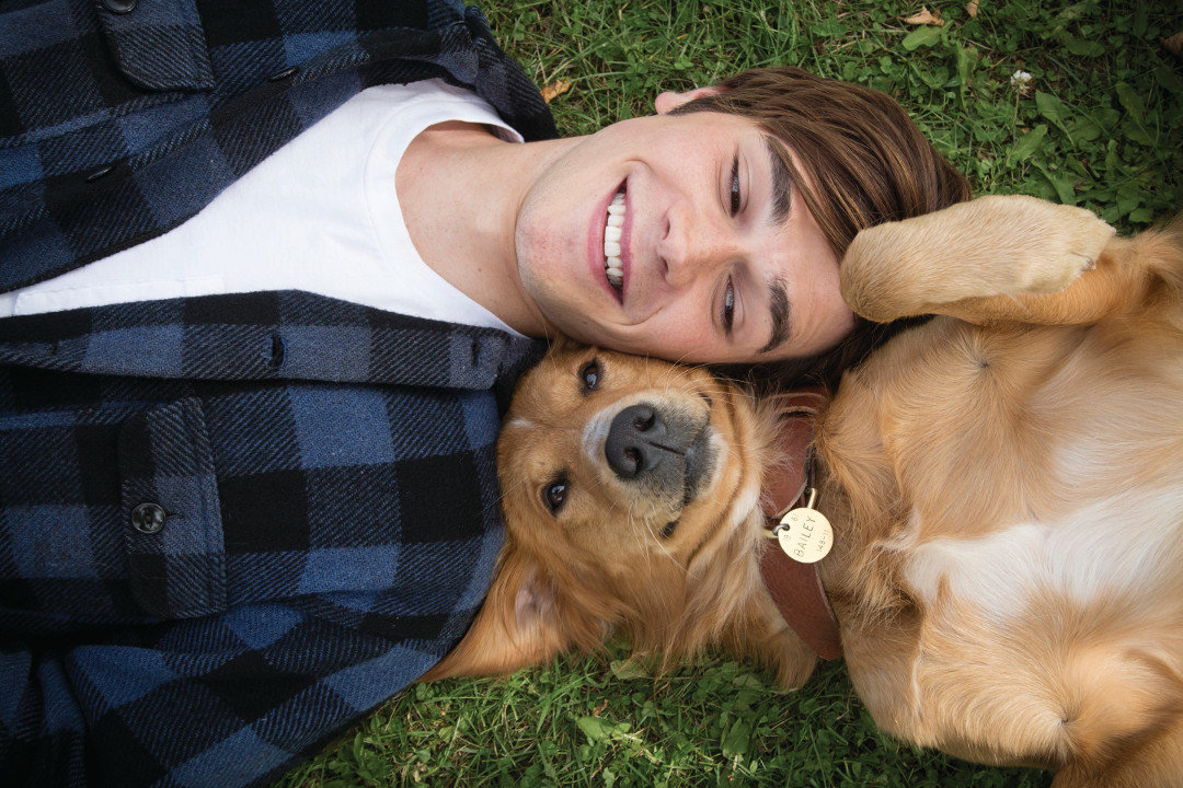 'A Dog's Purpose' review: Look past the abuse controversy, and you'll see a lousy movie