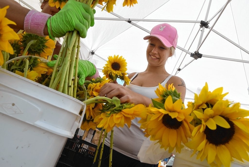 2016 New York state farmers markets: Location, hours for more than 600 markets (map)