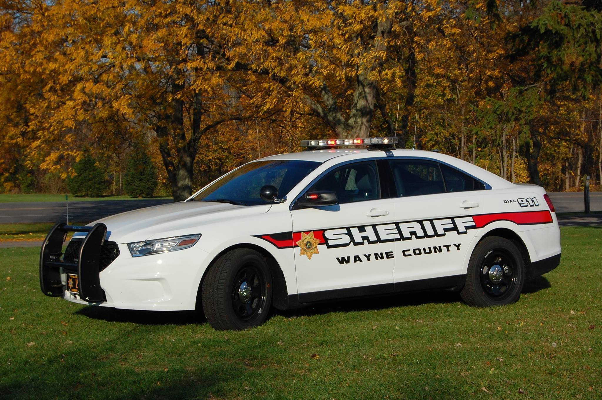 Upstate NY man arrested after room with pot plants catches fire at High Street home