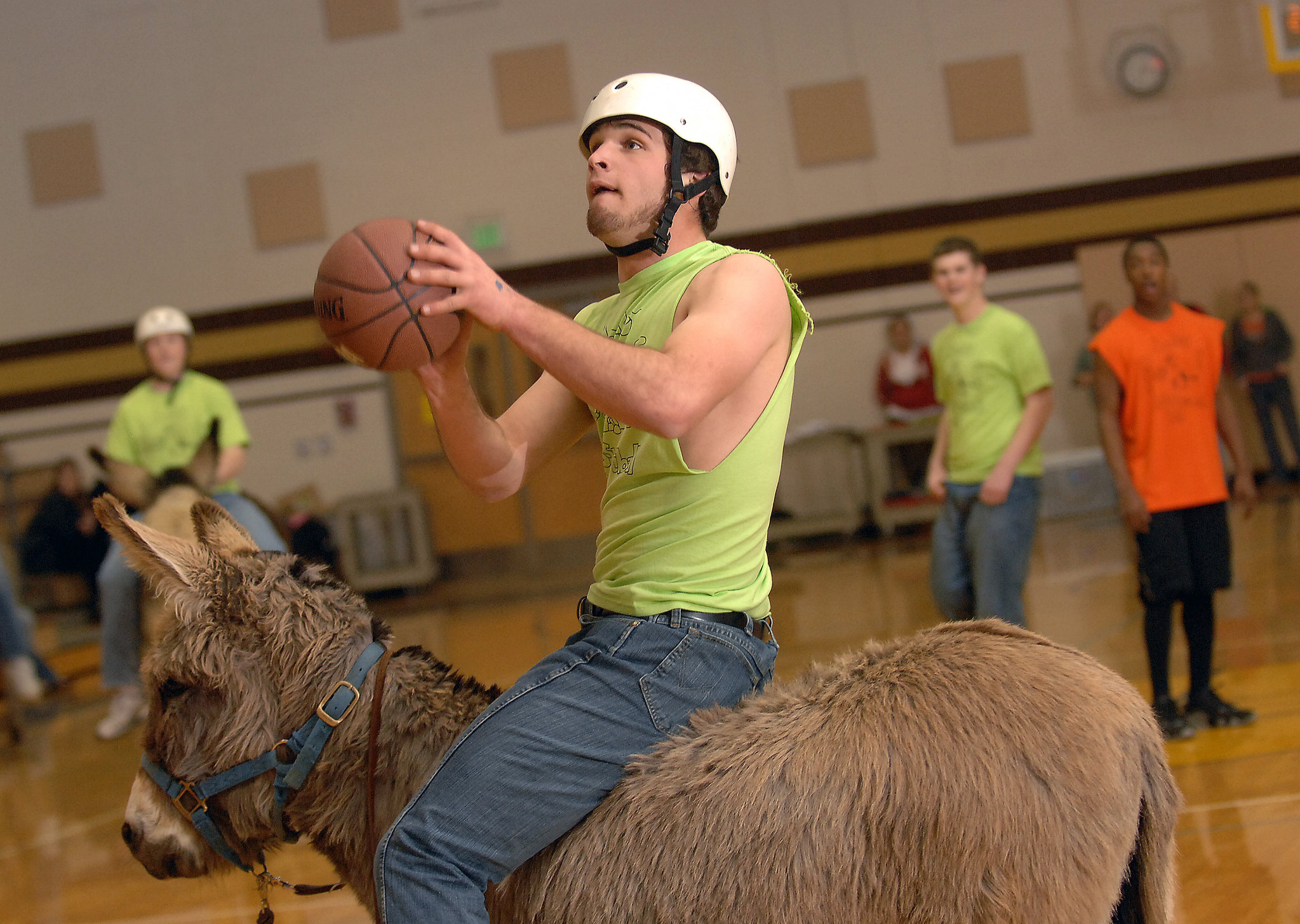 Catskills school's donkey basketball outrages animal rights group