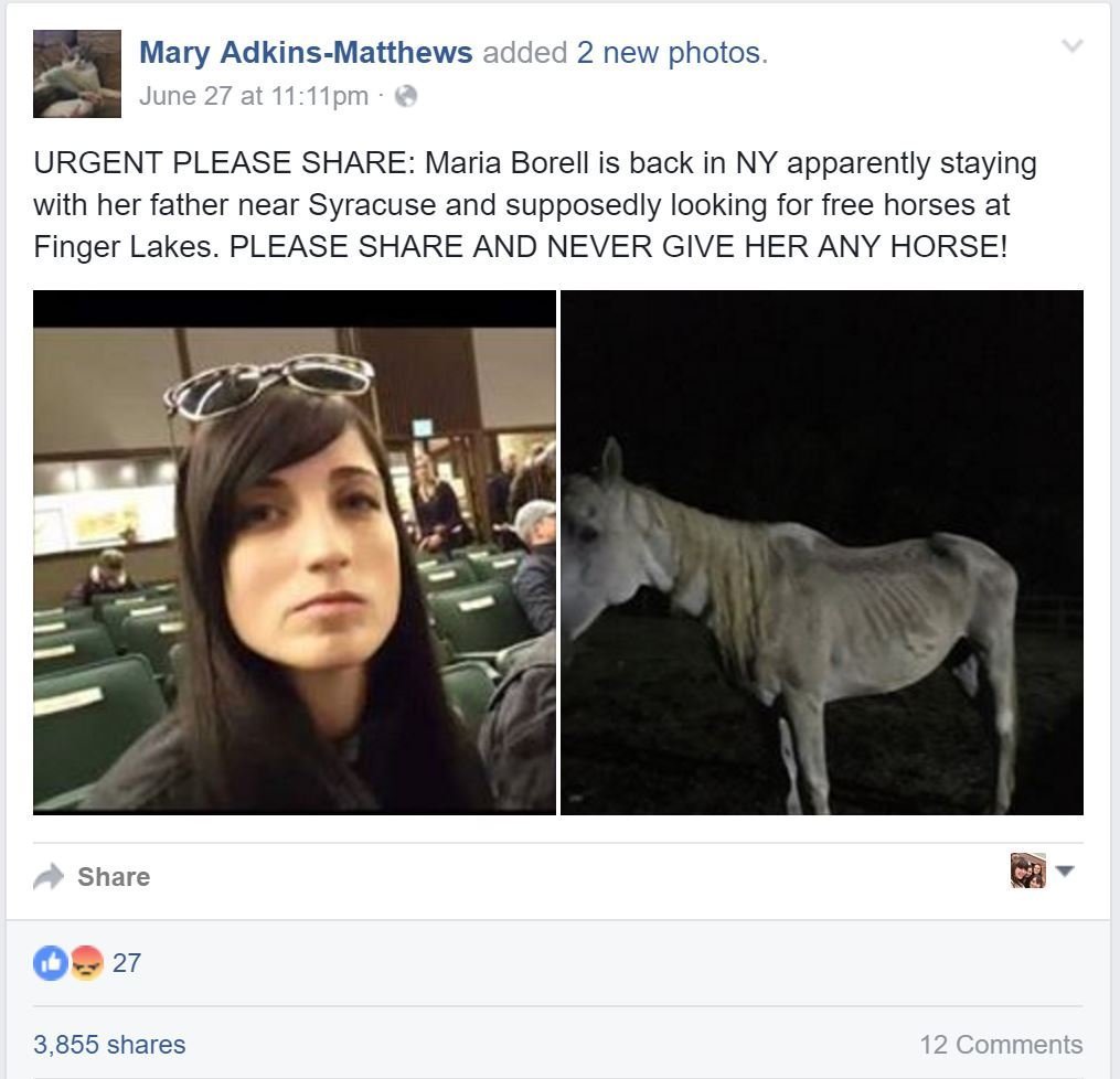 CNY native, Breeders' Cup winning trainer accused of abusing horses