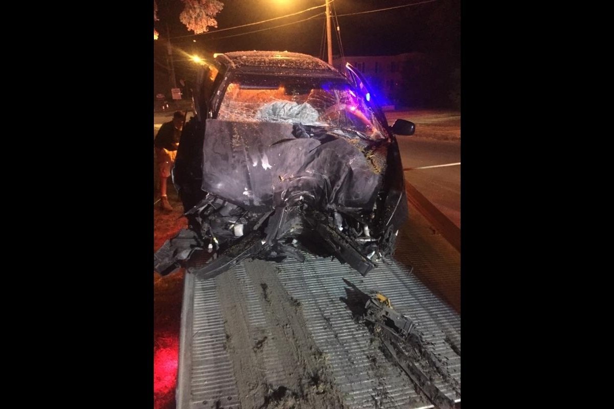 Pokemon Go crash: CNY driver hits tree while playing game