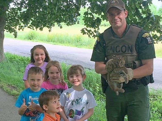 Photo: DEC officer rescues wild bobcat kitten stuck in drain in Owego