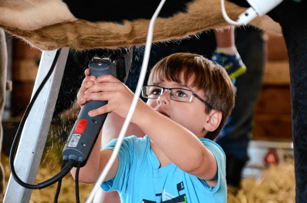 Find more than 50 county fairs in New York state (map)