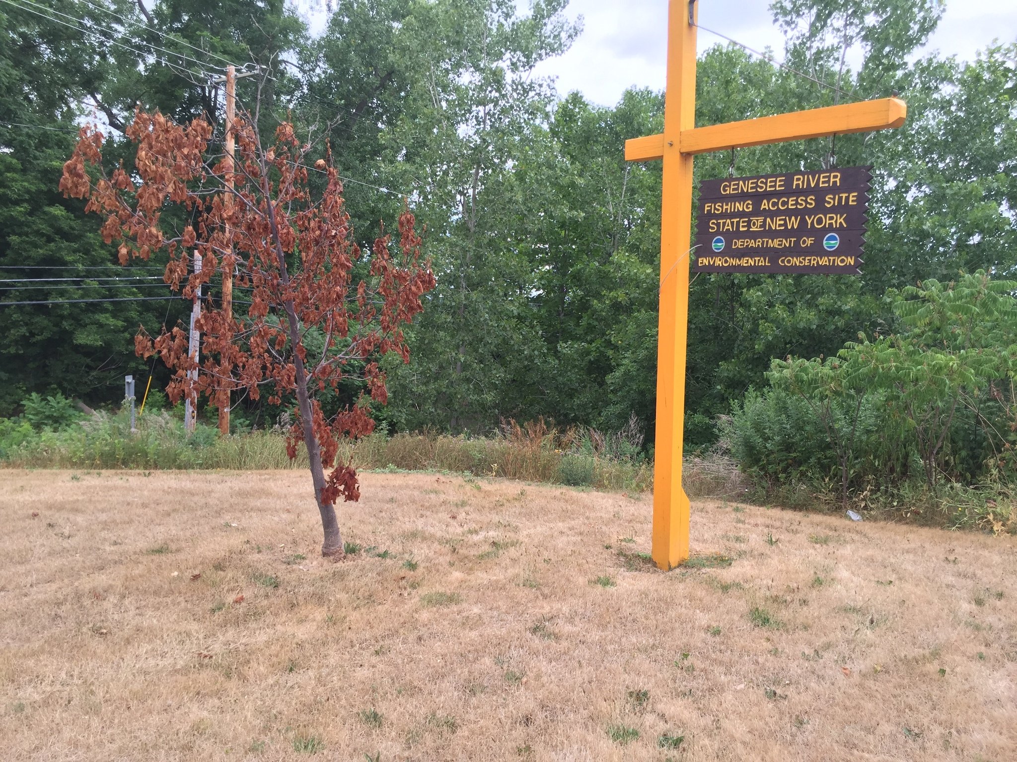 Severe drought persists in Upstate NY; little relief in sight