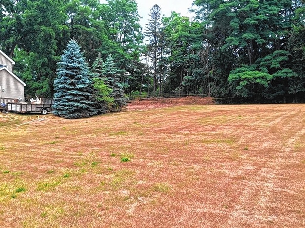 State, county, city puzzling over fate of 100-year-old Auburn inmate bones
