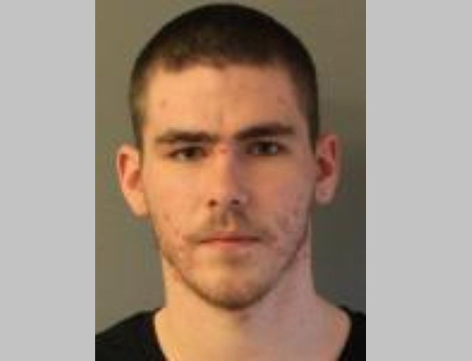 Upstate NY man gets 8-month sentence for killing sister's dog that urinated indoors