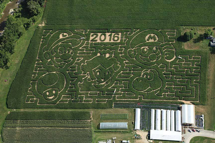 'Super Mario Bros' corn maze at Upstate NY farm draws national attention