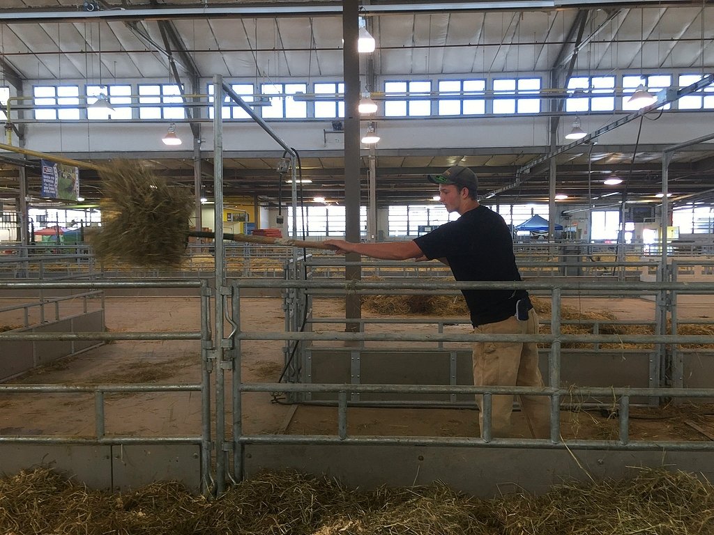 'Where are the cows?' NYS Fair dairy cattle building empty today for breed swap
