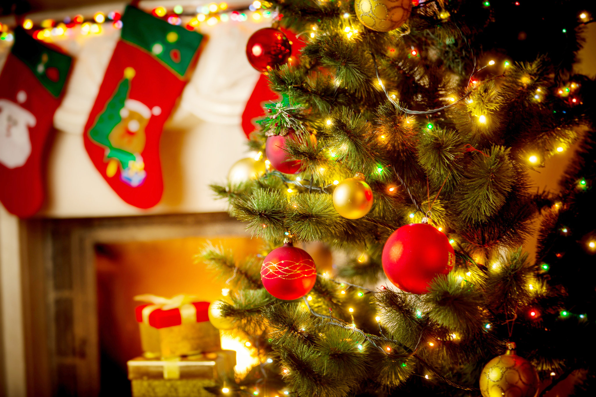 Poll: Upstate NY prefers 'Merry Christmas' over 'Happy Holidays,' fake trees over real