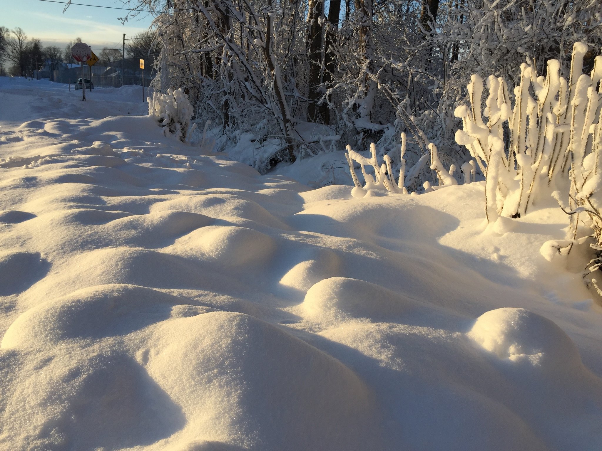 A white Christmas is looking likely for much of Upstate NY
