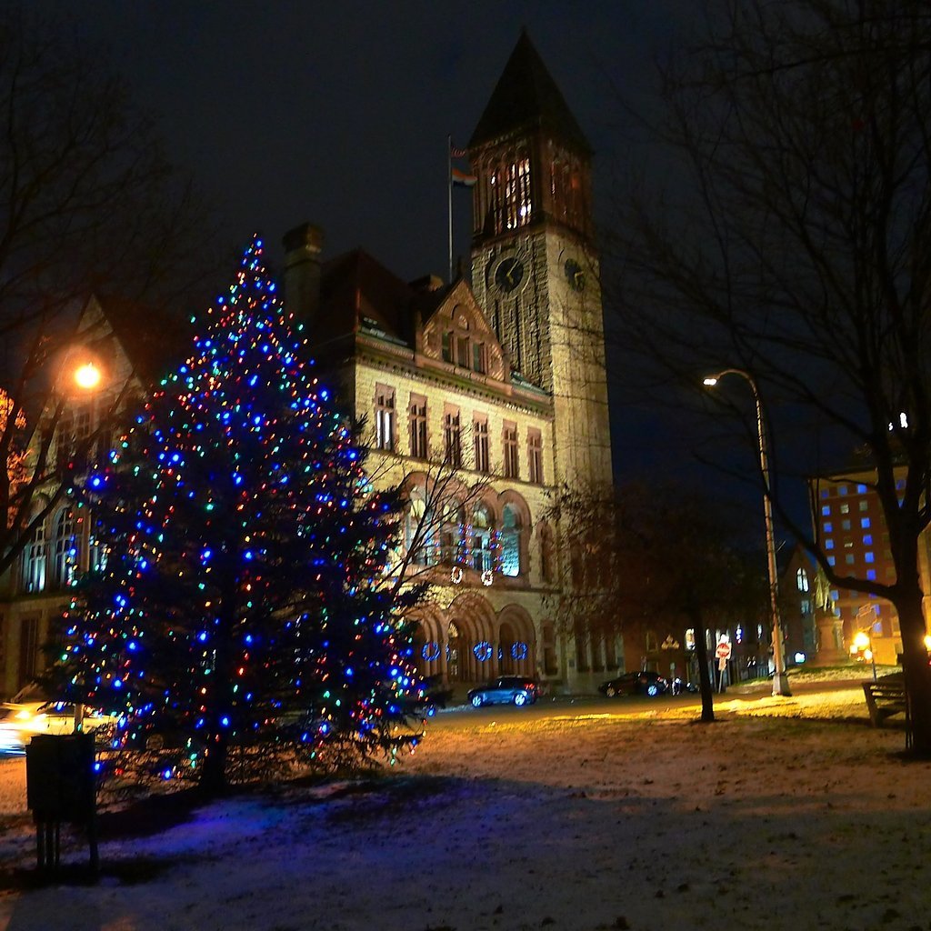 O Christmas Tree: See photos of city, village, town trees from around ...