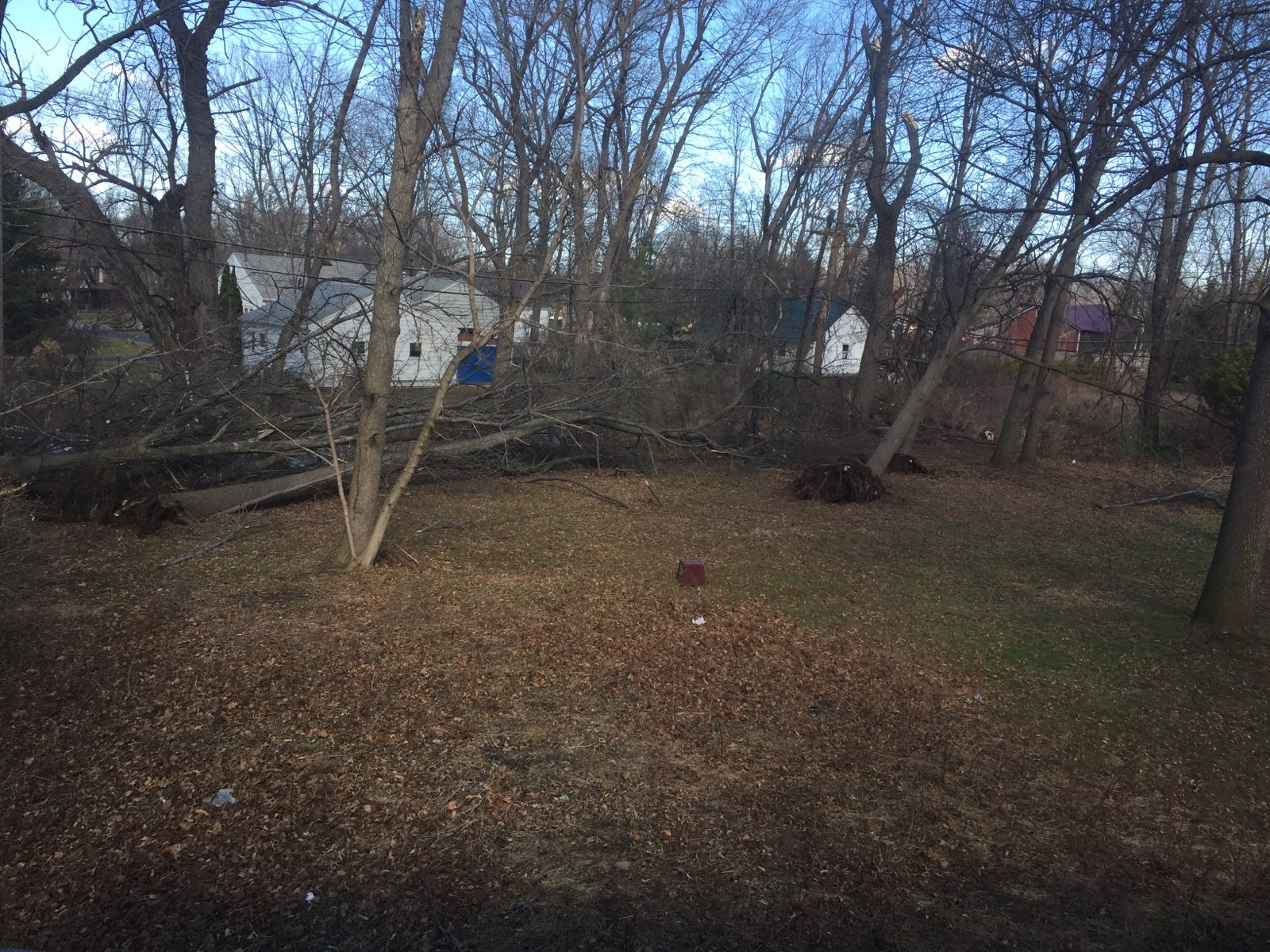 Hurricane-force wind gusts hit Western NY; residents urged to seek shelter