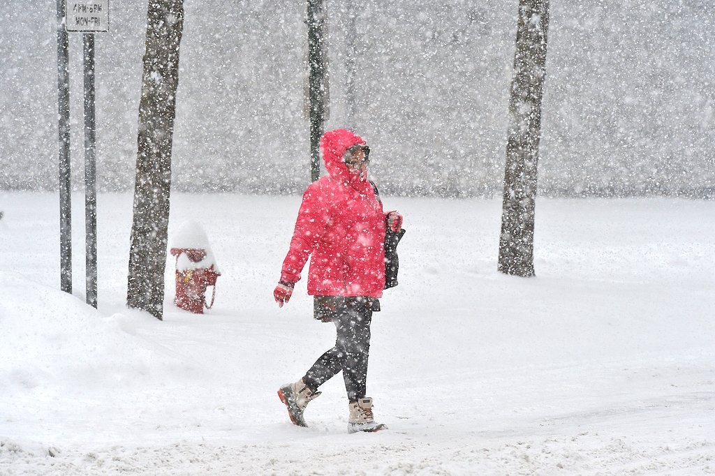 Upstate NY snowfall totals from monster storm: Search 310 places