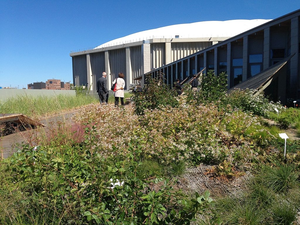 Cuomo's CNY regional council: 'Amazing' volunteers or insider network?