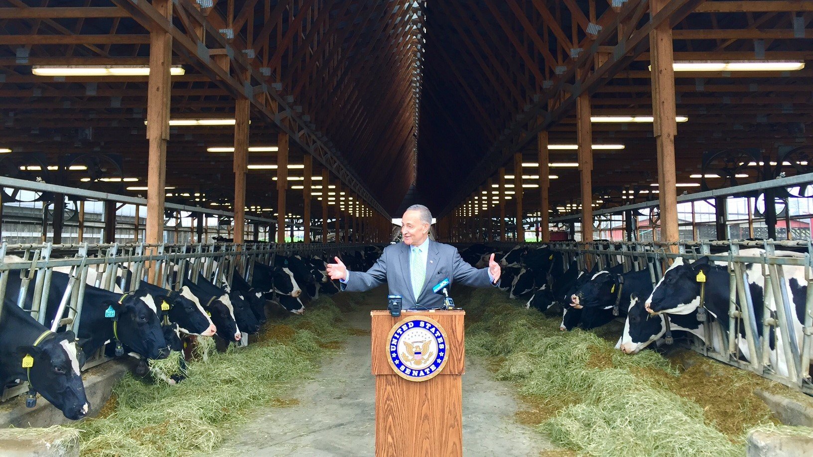 Schumer backs Trump in dairy trade dispute with Canada