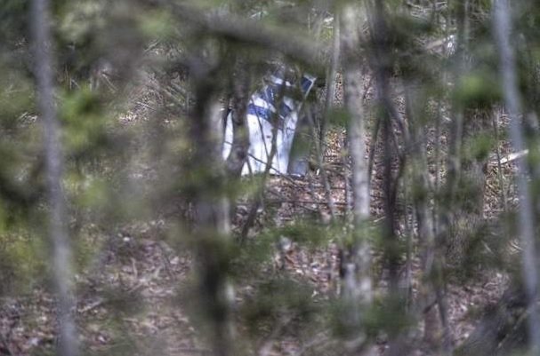 Canadian pilot found dead after plane crashes in Upstate New York woods