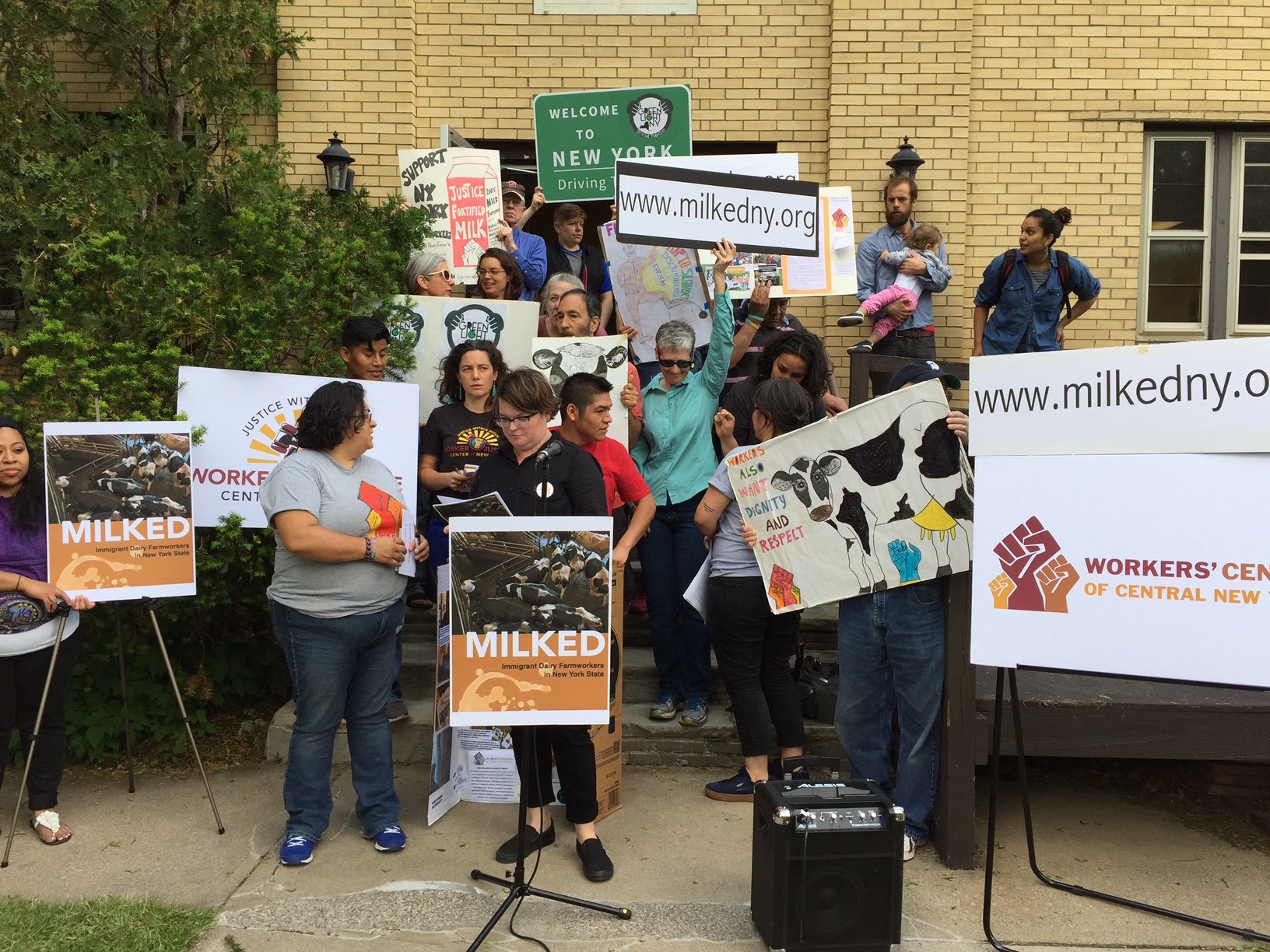 Upstate immigrant dairy farm workers report injuries and intimidation