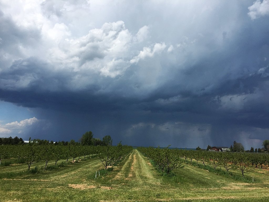 Thunderstorms across Upstate NY could bring heavy rains, hail