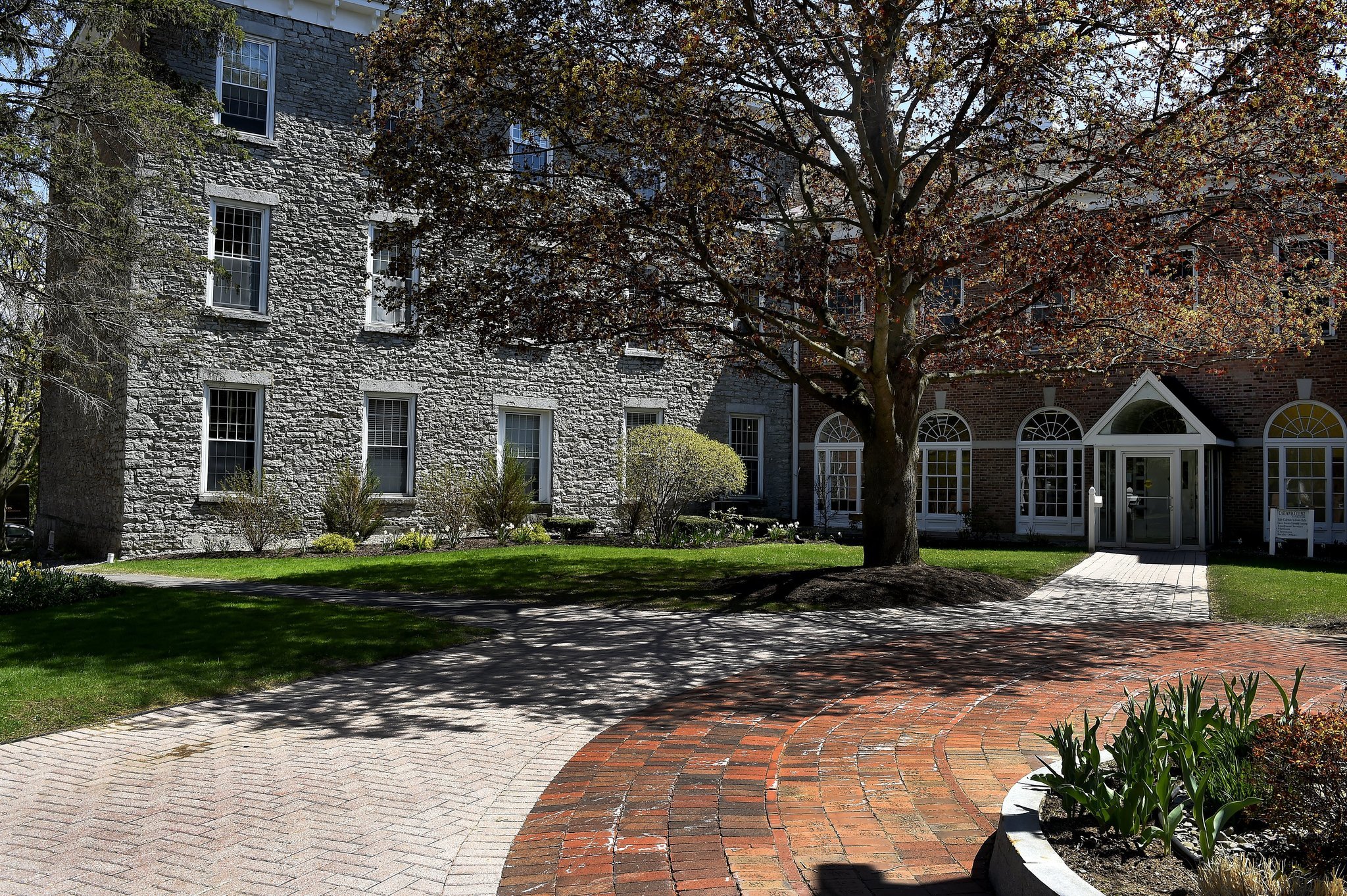 Cazenovia College opts out of Cuomo's NY tuition aid program, Canisius College in
