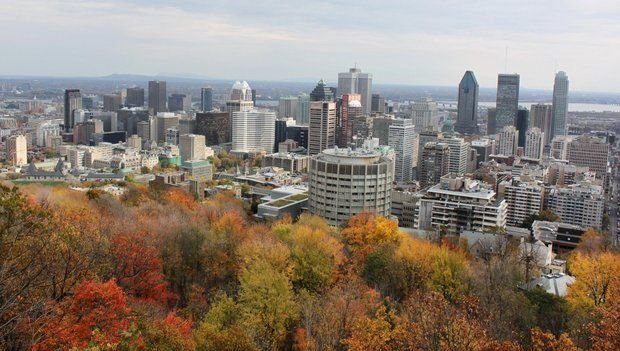 Surgeon with ties to Syracuse dies after falling off Canadian cliff