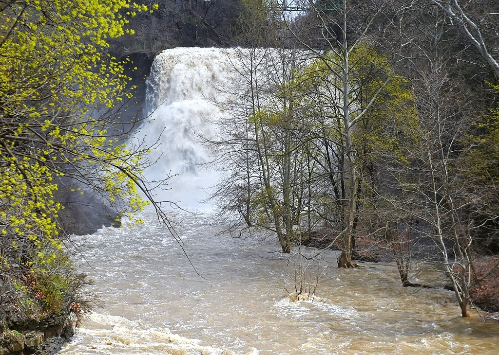 Dive team recovers body of missing swimmer from Finger Lakes gorge