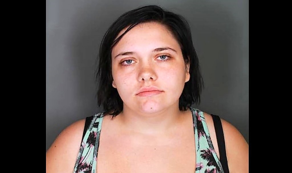 Baby abandoned by mom survived 3 days in plastic bag in Elmira yard, police say