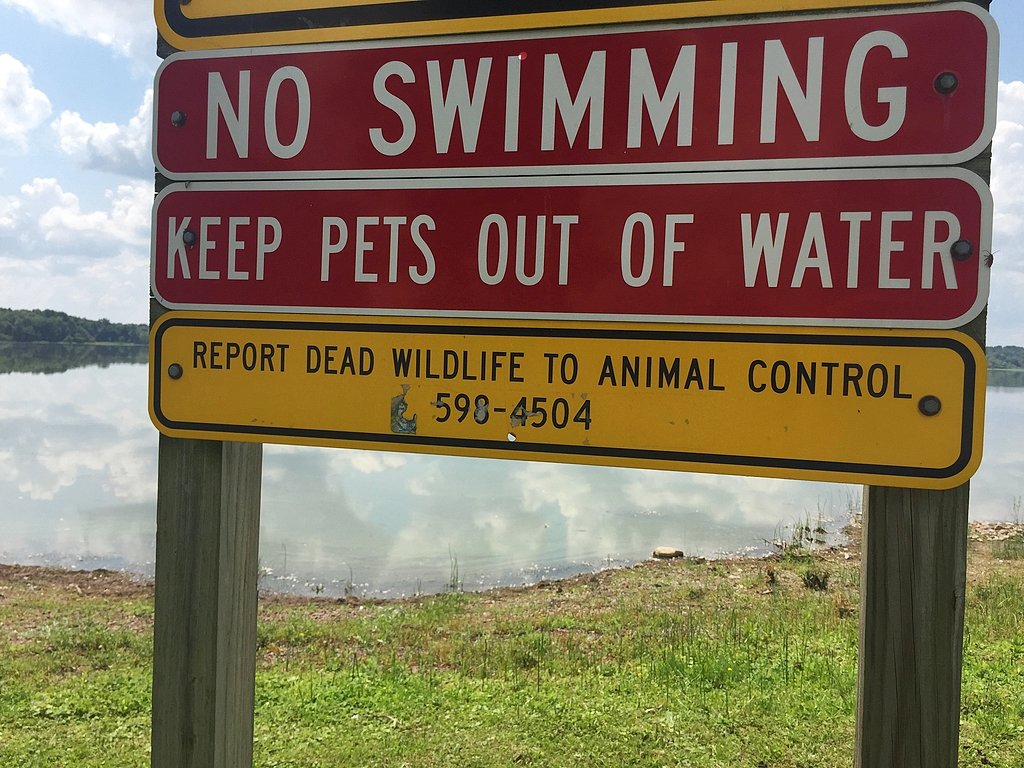 Can a 'perpetually toxic lake' in Upstate NY be made swimmable again?
