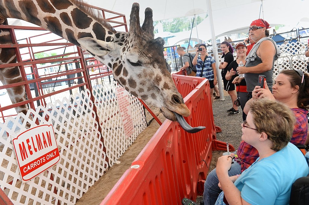 NYS Fair attendance 2017: Day 9 attendance falls short trying to compete with 2016