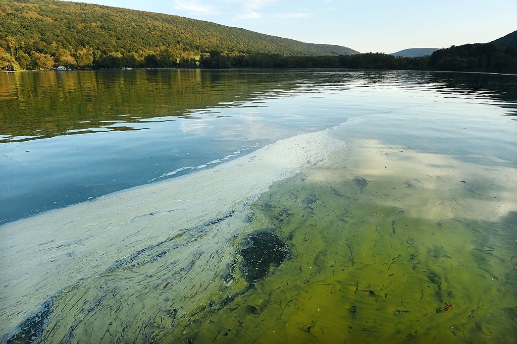 More Upstate NY lakes have toxic algae blooms after big heat wave