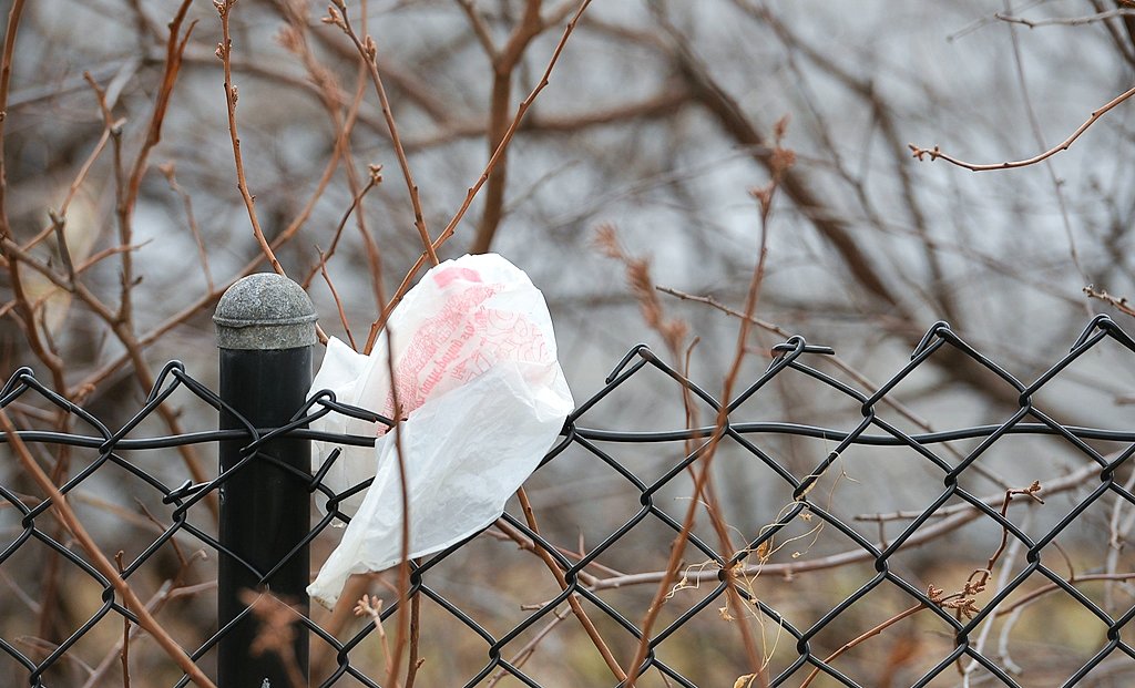 NY state task force likely to favor controls on plastic shopping bags