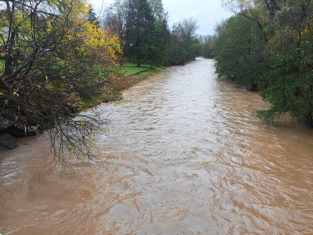 6 inches of rain fell in two Upstate NY spots: See how much you had (chart)