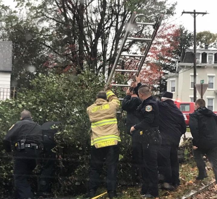Firefighters rescue SUNY Cortland student pinned under 500-pound uprooted tree