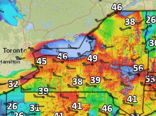 55 mph winds could uproot trees, knock out power in Upstate NY today