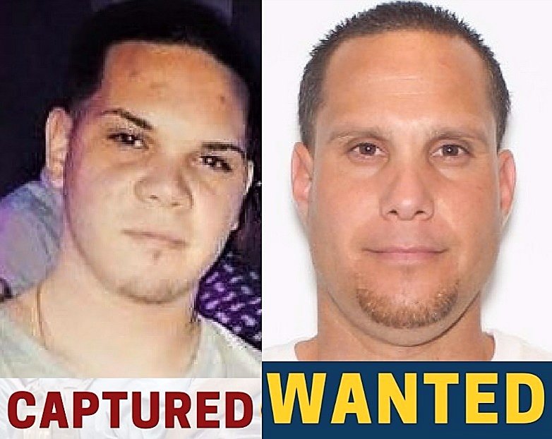 Wanted man in custody after theft of over 40 guns in Capital Region