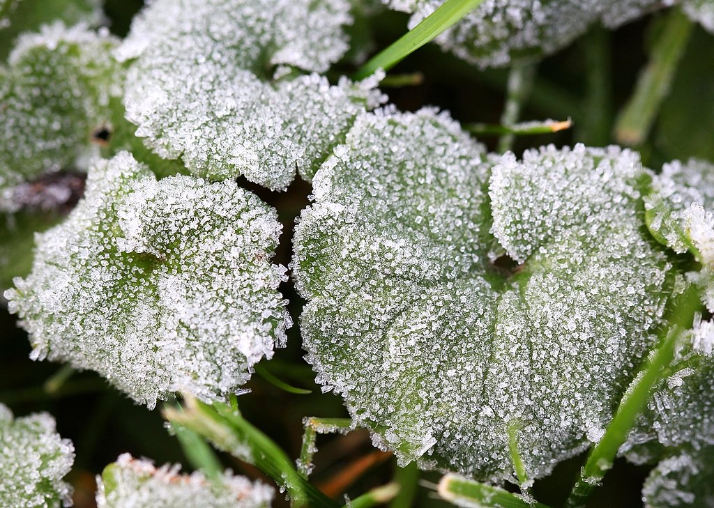 A record cold morning in Upstate NY looking more and more likely