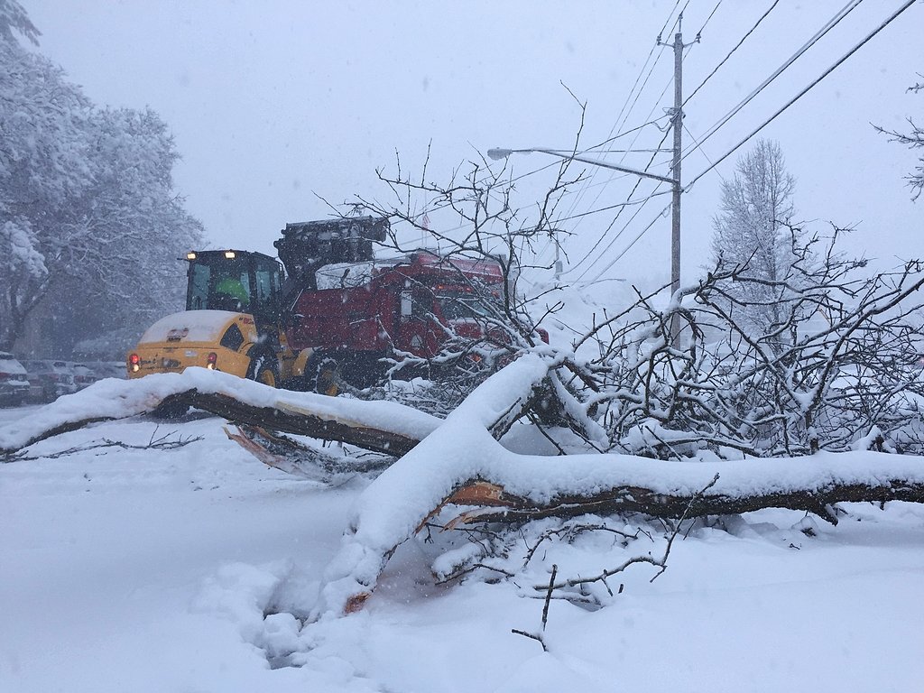 40 inches of snow fell in one Upstate NY spot: See how much near you (chart)